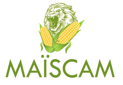 Logo MAISCAM